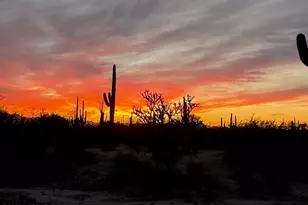 33597 E Davis Ranch Rd, Marana, AZ 85658 - Photo 42