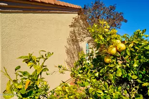 1477 W Desert Jewel Ct, Green Valley, AZ 85622 - Photo 46