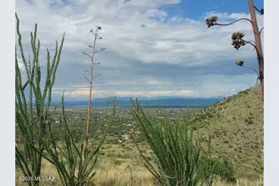 Emerald Falls Drive, Hereford, AZ 85615 - Photo 8