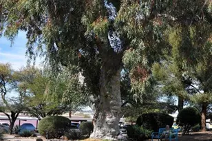 8050 E Broadway Blvd, Tucson, AZ 85710 - Photo 40