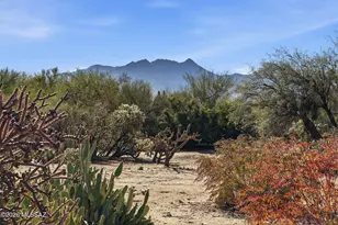 1568 N Rio Mayo, Green Valley, AZ 85614 - Photo 20