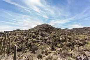 14121 N Seifert Estates Dr, Tucson, AZ 85755 - Photo 28