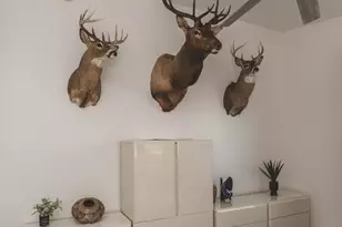 10630 E Northern Crest Dr, Tucson, AZ 85748 - Photo 16