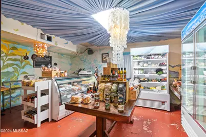 270 American E, Oracle, AZ 85623 - Photo 16