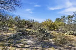 65 E Horizon Cir, Tucson, AZ 85737 - Photo 50