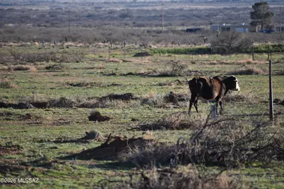 Howling Wolf Road, Willcox, AZ 85643 - Photo 44