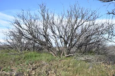 Howling Wolf Road, Willcox, AZ 85643 - Photo 16