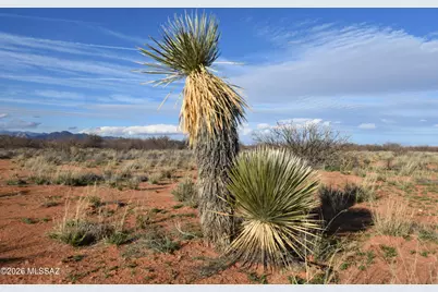 Howling Wolf Road, Willcox, AZ 85643 - Photo 18