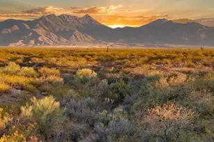 1311 Madera Estates Ln, Sahuarita, AZ 85629 - Photo 1