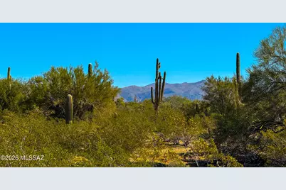 0 Cactus Garden Way 2.5 Acres #-, Marana, AZ 85658 - Photo 10