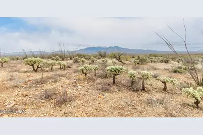25520 S Via Montana Vista #114, Green Valley, AZ 85622 - Photo 8