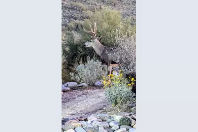 4271 N Summer Set Loop, Tucson, AZ 85750 - Photo 48