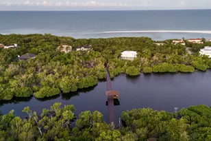 321 Wild Orchid Ln, Marco Island, FL 34145 - Photo 42