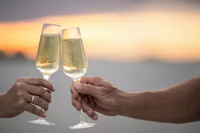 321 Wild Orchid Lane, Marco Island, FL 34145 - Photo 36