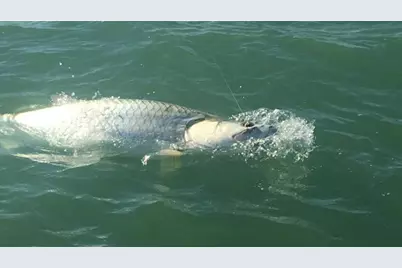 147 Capri Boulevard #2, Naples, FL 34113 - Photo 20