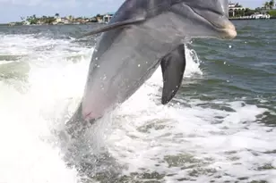 130 N Collier Blvd, Marco Island, FL 34145 - Photo 22