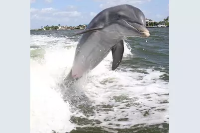 160 Waterside #202, Marco Island, FL 34145 - Photo 50