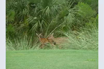 8610 Cedar Hammock #1226, Naples, FL 34112 - Photo 18
