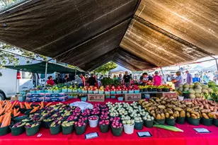 108 Sand Hill St, Marco Island, FL 34145 - Photo 16