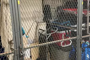 900 Collier Ct, Marco Island, FL 34145 - Photo 28