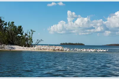 350 Newport Drive #1907, Naples, FL 34114 - Photo 42