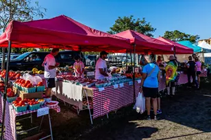 1429 Collingswood Ave, Marco Island, FL 34145 - Photo 36