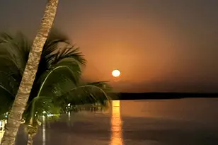 60 W Pelican Street W, Naples, FL 34113 - Photo 36