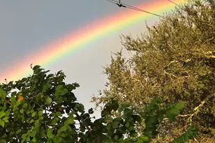 410 Cristobal St, Naples, FL 34113 - Photo 108