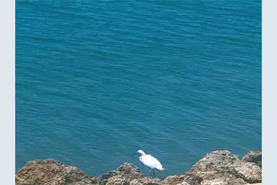 410 Cristobal Street, Naples, FL 34113 - Photo 92