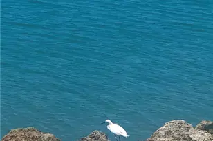 410 Cristobal St, Naples, FL 34113 - Photo 92