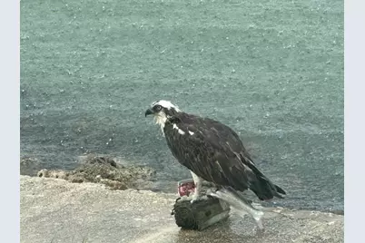 410 Cristobal Street, Naples, FL 34113 - Photo 120