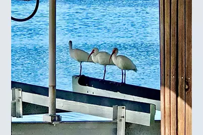 410 Cristobal Street, Naples, FL 34113 - Photo 48