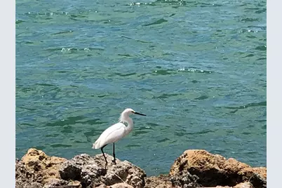 410 Cristobal Street, Naples, FL 34113 - Photo 50