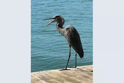 410 Cristobal Street, Naples, FL 34113 - Photo 60