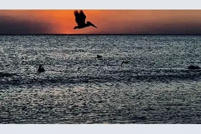 1494 Borghese #301, Naples, FL 34114 - Photo 48