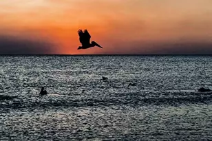 1494 Borghese, Naples, FL 34114 - Photo 48