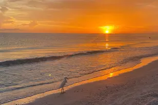 1063 Whiteheart Ct, Marco Island, FL 34145 - Photo 16