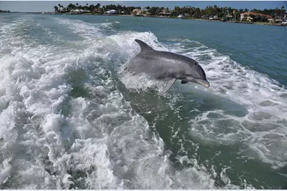 194 Newport Drive #908, Naples, FL 34114 - Photo 38