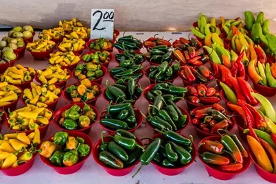 1256 Bluebird Avenue, Marco Island, FL 34145 - Photo 16