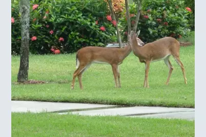 3850 Sawgrass Way #2715, Naples, FL 34112 - Photo 34