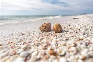 430 Driftwood Ct, Marco Island, FL 34145 - Photo 30