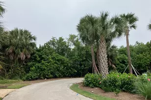 124 Wild Cherry Ln, Marco Island, FL 34145 - Photo 1