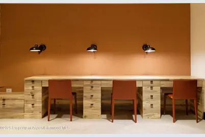 58 Exhibition Lane, Aspen, CO 81611 - Photo 28