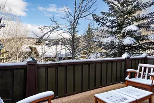 204 Oregon Trail, Aspen, CO 81611 - Photo 34