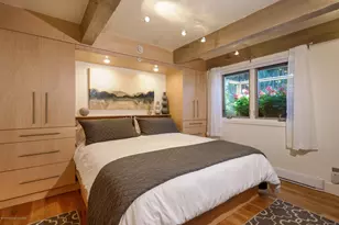 1034 E Cooper Ave, Aspen, CO 81611 - Photo 12