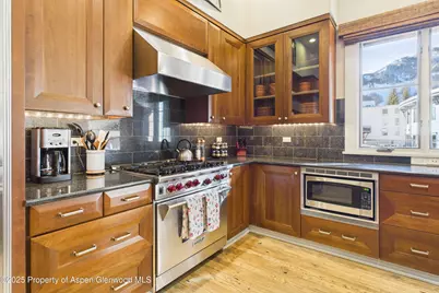 501 Rio Grande Place #Unit 204, Aspen, CO 81611 - Photo 16