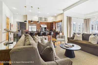 501 Rio Grande Place #Unit 204, Aspen, CO 81611 - Photo 6