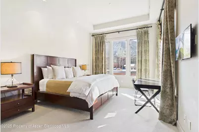 501 Rio Grande Place #Unit 204, Aspen, CO 81611 - Photo 18