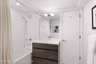 250 S Original Street #B, Aspen, CO 81611 - Photo 16