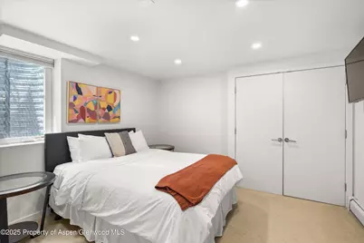 250 S Original Street #B, Aspen, CO 81611 - Photo 12